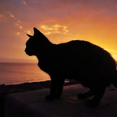 Вилла Casa Laura Пуэрто дель Кармен