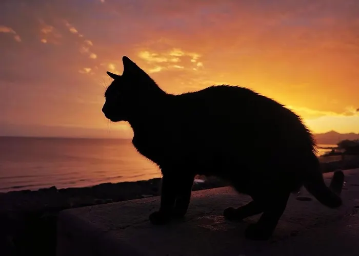 别墅 Casa Laura 卡门港