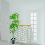 Casa Laura * פוארטו דל כרמן